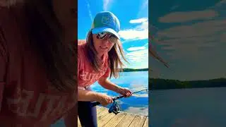 Made a friend 🐊 on Lake D&hellip;