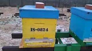 185. #04Ianuarie2026 - An nou, vatră nouă
