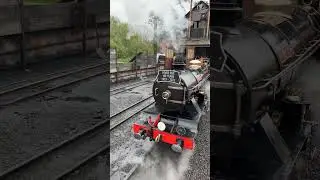#throwbackthursday River Esk's Gala Weekend 🚂 #steamtrain  #train  #steamengine #steam  #railway