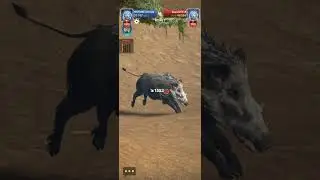 Hunting Sniper Amber Review