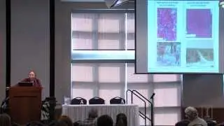 iSEE Congress 2014: Session 3 - Ruth DeFries
