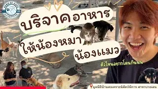 พบกับน้องหมาน้องเเมวใน โครงการอุ้งเท้าก้าวใหม่ | บ้านสงเคราะห์สัตว์พิการ สาขาบางเลน🐶🐱