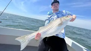 Live lining bunker for striped bass Raritan bay