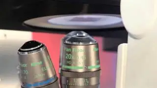 Inverted Microscope Platforms for Electrophysiology, Multiphoton and Confocal Microscopy