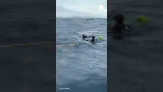 Hurricane Erin restrengthens into Category 4 storm