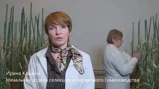 Фитотрон в Научном центре 