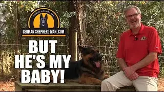 Training a German Shepherd Puppy...DON'T DO THIS!!!