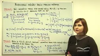 Međusobni položaj dveju pravih - vežbanje (Matematika III)
