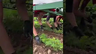 The Future of Farming 2025 Innovations
