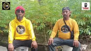 Cover lagu seandainya aku punya sayap ciptaan Rinto Harahap voc Rizal / Kusnadi 
