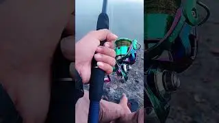 🍁🍁 #trending #fishing #shortvideo #mancing #viralvideo #fyp #reels #shorts #foryou #4k #like #trend