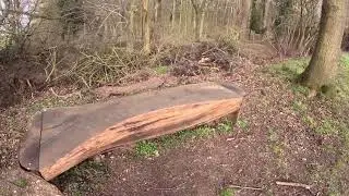 Walks with Rat at High Ash Farm part 7