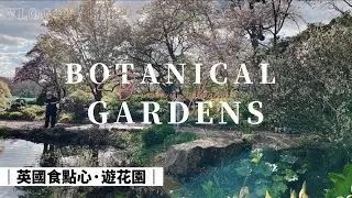 Relaxing Holiday ｜Birmingham🌸🌼🌻｜Dim Sum in UK😋｜HKer in UK｜復活節遊花園，帶你眼睛去旅行👀英國食大大粒點心😋 SMY Vlog#2