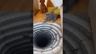 so funny watch this epic pet showdown #cat #dog #viral