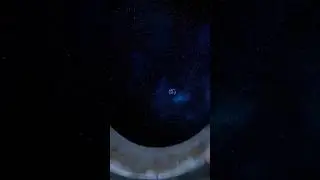 When an abandoned kitten encounters a UFO... #alien #cats #viral
