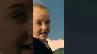 Harry flies for the first time