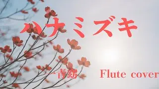 ハナミズキ 〜大切な人へ、愛と平和の祈りを込めて〜【Flute cover｜光のフルート】