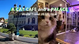 A CAT CAFE and a PALACE in BANGKOK | World Travel 2022 | EP. 6