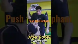 Muay Boran Martial Arts Technique: Push the Elephant #shorts