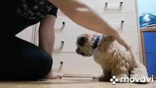 Воспитание Гаррика))