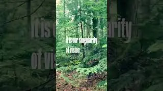 Ani DiFranco - New Bible (Lyric Video)