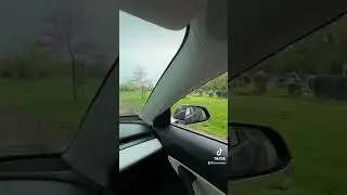 Teslas Can See Ghosts at Cemetery? #Tesla #EV #Model3 #Ghosts