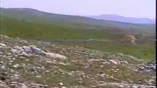 Şimşek Dede