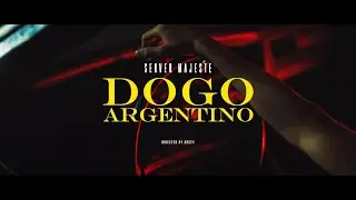 Server Majeste - Dogo Argentino (Official Video)