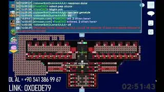 TeamOX Live