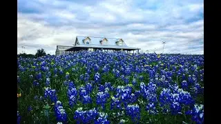 3600 Lakeview Drive, Cottonwood Shores, TX 78657