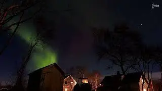 Aurora and the Moon | January 2026