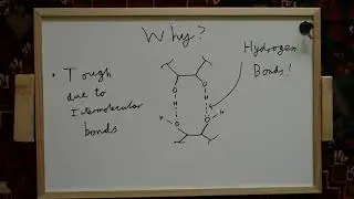 Polymers in Modelling