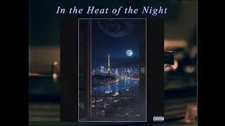 [Free] Madonna x 80s Type Beat | Synth Pop | &uml;In the Heat of the Night&uml; | (Prod. Malmo Beats)