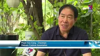 Vietnam&rsquo;s cashew industry suffering