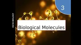 BIOLOGICAL MOLECULES