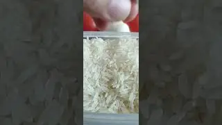 ASMR  raw rice eating - Craved a little