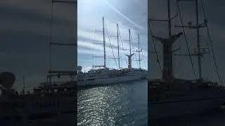 Windstar Epic horn battle #windstar #starseeker #tenerife #newyear