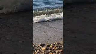 Ocean waves for deep sleep #asmr #ocean #beach #shorts