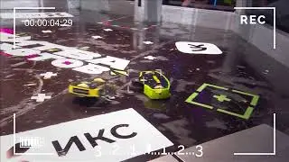 BULLFROG Highlights (under 1.5 kg) | Stage 4 | 2025 The Battle of Robots