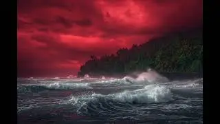 Mr.David - Where Hope Refuses to Die