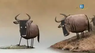 Funny whatsapp status   funny animation story   funny animals video   comedy video   kc whatsapp