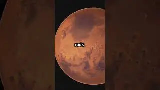 Scientists invent new &lsquo;revolutionary&rsquo; way to make Mars habitable!