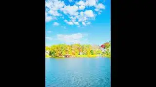 Muskoka Steamship Cruise