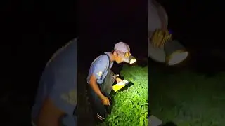 Spider Hunting Tips 101 mga idol (Night hunt)