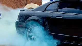 Highway Max colored tires gender reveal