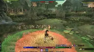 [3.1.8][HotR][VMA]TESO Magicka DK Guide - Arena 3
