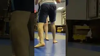 sticky feet