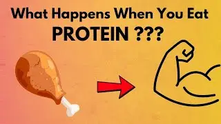 What is a PROTEIN? How PROTEIN works in the Body?
