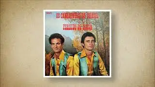 Os Canarinhos Do Brasil - Perdido de Amor (1983)