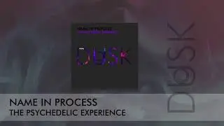 Name In Process - The Psychedelic Experience